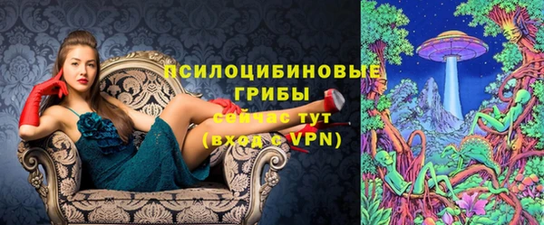 спиды Армянск