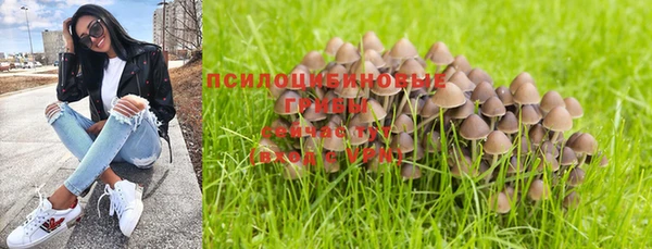 дживик Алзамай