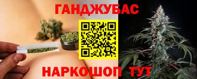 молекула духа Сланцы