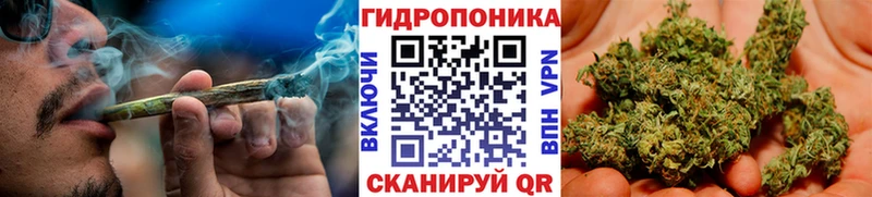 ссылка на мегу ССЫЛКА  Петропавловск-Камчатский  Конопля ГИДРОПОН  купить  